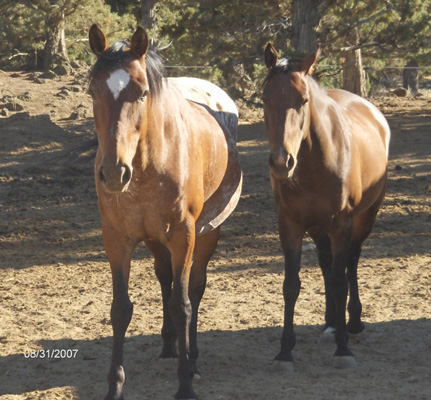 April & Flit