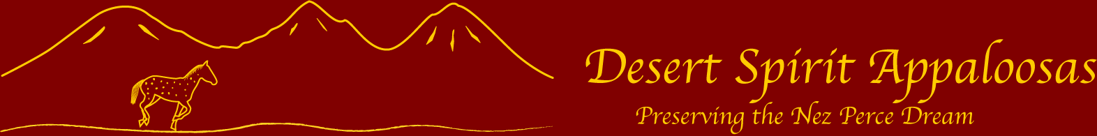 dsalogo1