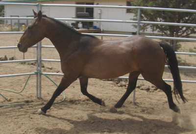 Flit L side working