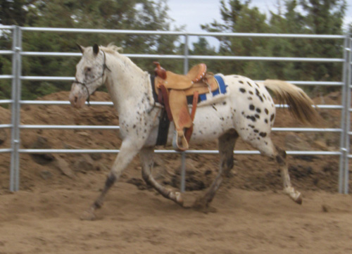 Storm schooling