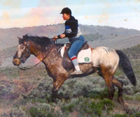 Old George