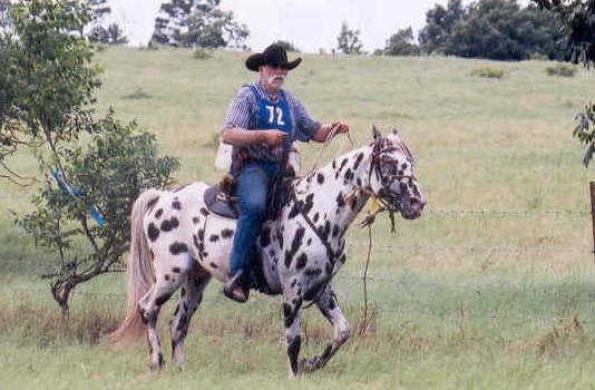 Pratts Toby IV